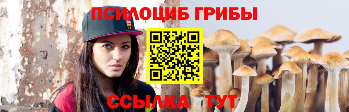Гай  Псилоцибиновые грибы Psilocybine cubensis  Псилоцибиновые грибы MAGIC MUSHROOMS  Вход с VPN 